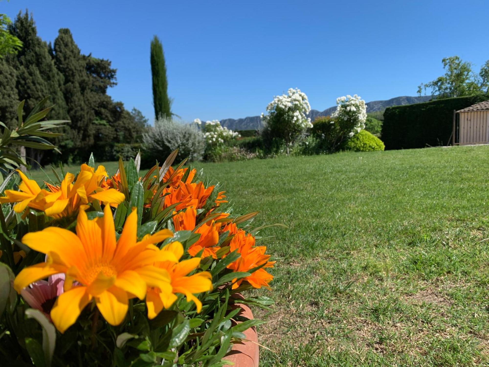 En Provence, Chez Stephanie Et Marcel Saint-Rémy-de-Provence Eksteriør billede