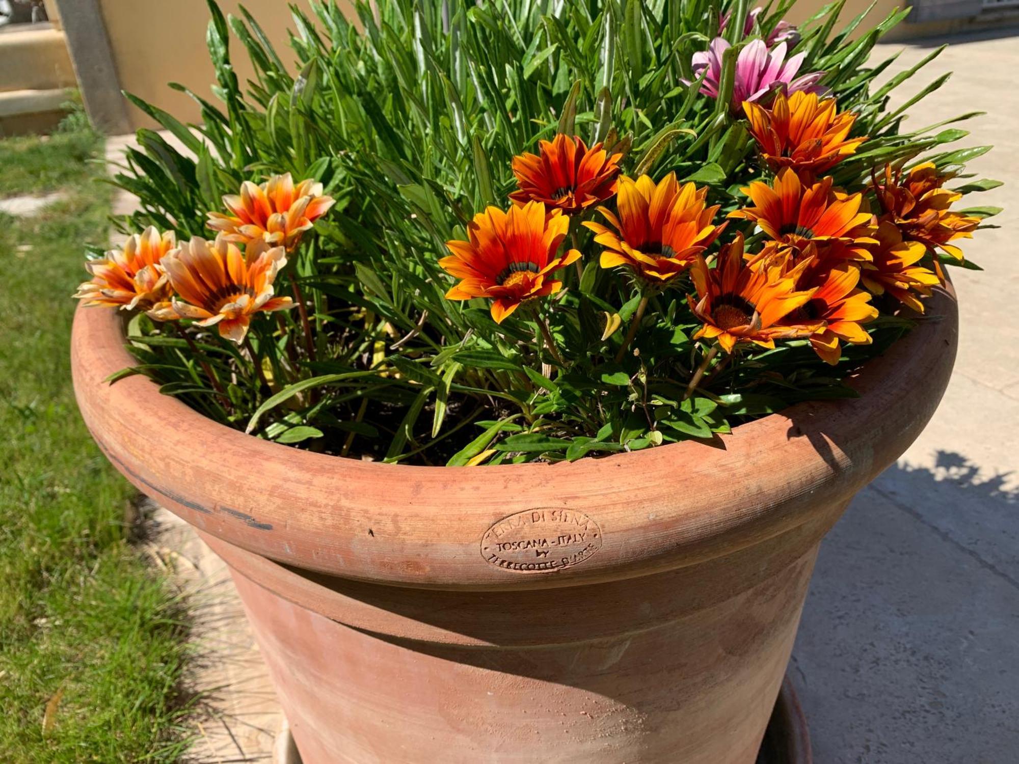 En Provence, Chez Stephanie Et Marcel Saint-Rémy-de-Provence Eksteriør billede
