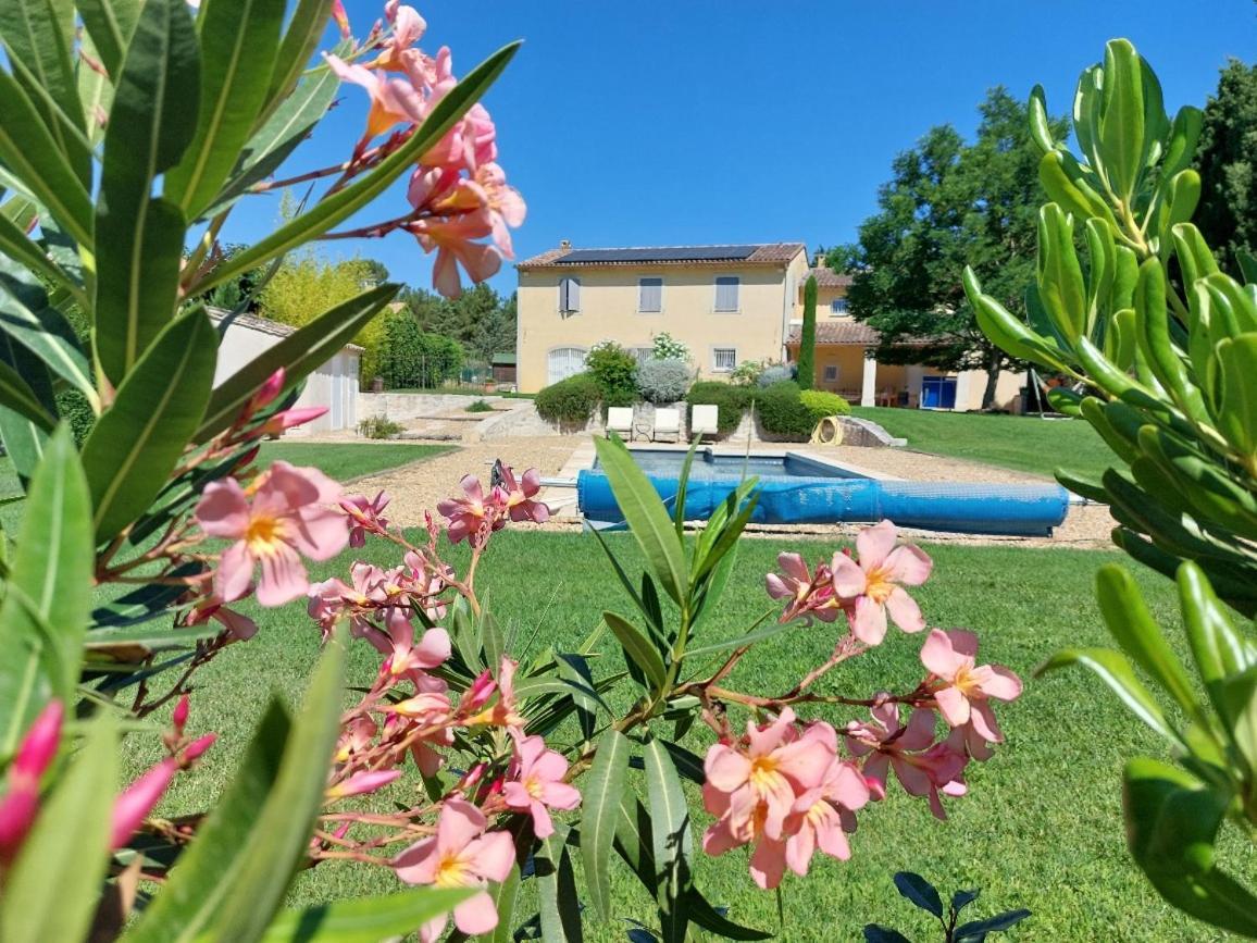 En Provence, Chez Stephanie Et Marcel Saint-Rémy-de-Provence Eksteriør billede