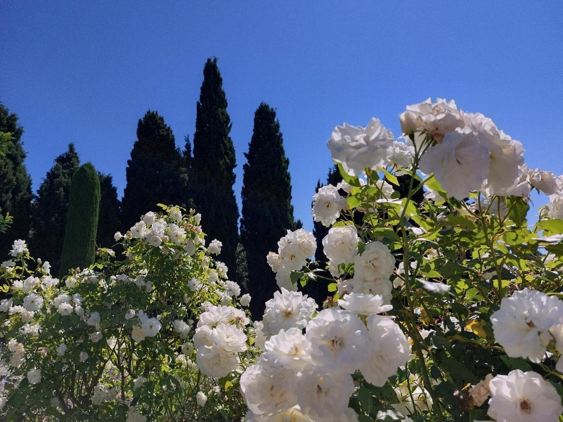 En Provence, Chez Stephanie Et Marcel Saint-Rémy-de-Provence Eksteriør billede