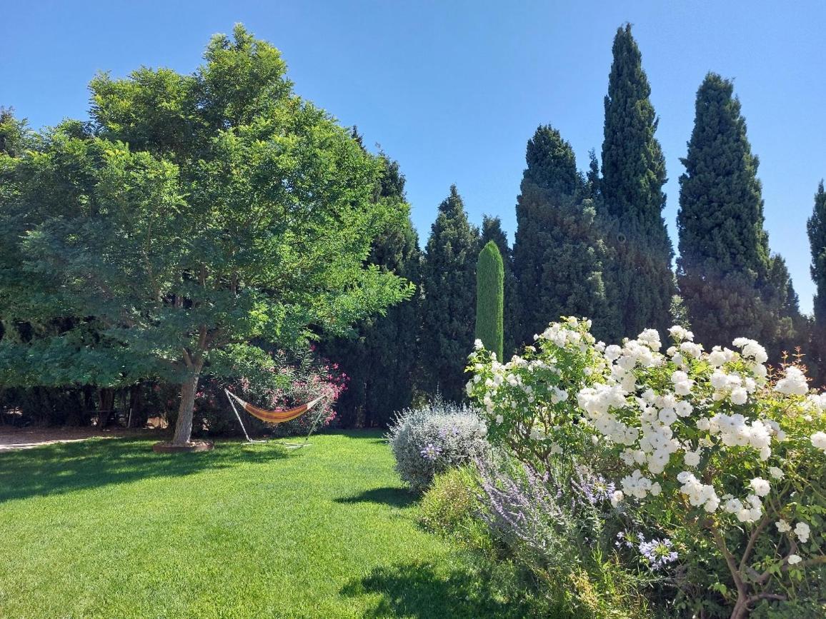 En Provence, Chez Stephanie Et Marcel Saint-Rémy-de-Provence Eksteriør billede